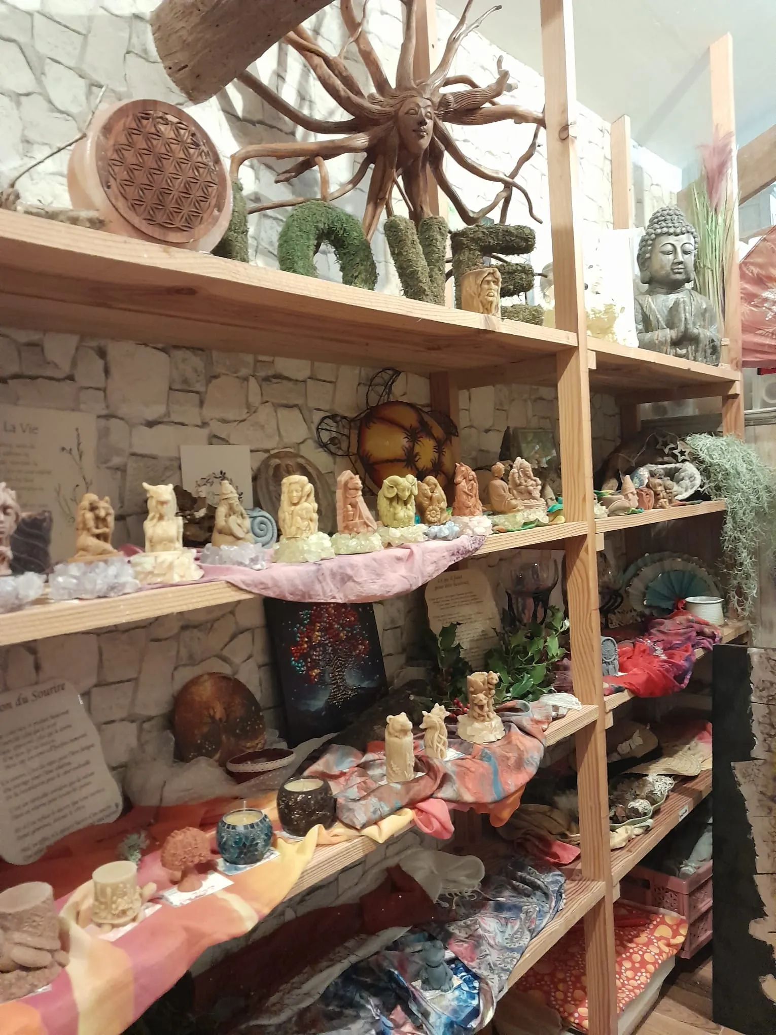 WhatsApp Image 2026-01-27 at 18.40.10 (1)